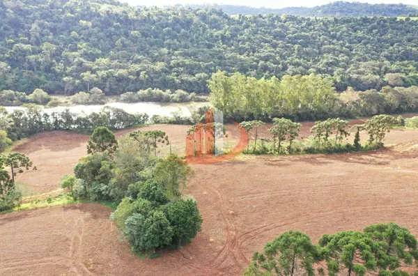 FAZENDA PRÓXIMA A PATO BRANCO PARA VENDA - Foto 7