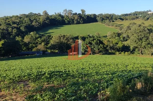 ÁREA DE TERRA COM 27 ALQUEIRES PARA INVESTIDORES OU EMPREENDIMENTOS - Foto 2