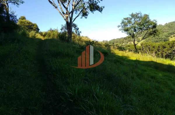 CHÁCARA COM 4 ALQUEIRES HÁ 12 KM DO CENTRO, EM PATO BRANCO/PR - Foto 36