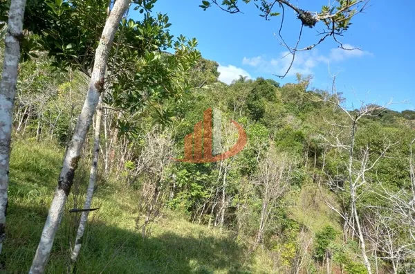CHÁCARA COM 2,5 ALQUEIRES À VENDA EM VITORINO/PR - Foto 42