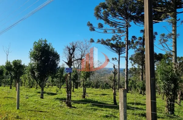 CHÁCARA COM 5 HECTARES PRÓXIMO A PATO BRANCO - Foto 30