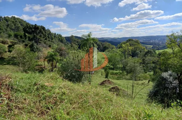 CHÁCARA COM 2,5 ALQUEIRES À VENDA EM VITORINO/PR - Foto 32