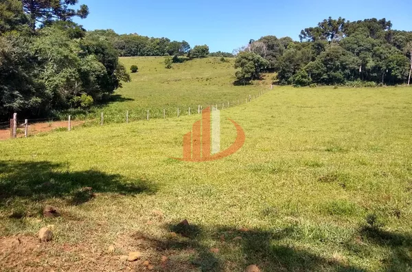 FAZENDA COM 24 ALQUEIRES EM PATO BRANCO/PR - Foto 7