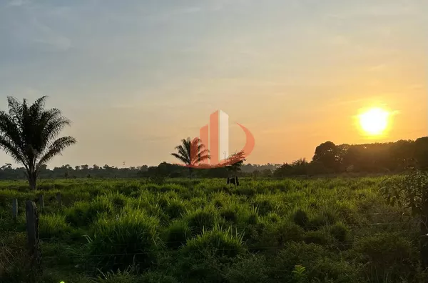 FAZENDA PARA ARRENDAMENTO EM TAILÂNDIA NO PARÁ (LEIA A DESCRIÇÃO) - Foto 7