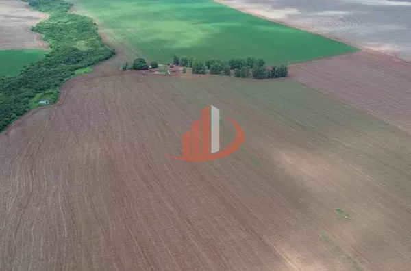FAZENDA COM 860 HECTARES EM MATO GROSSO DO SUL - Foto 6