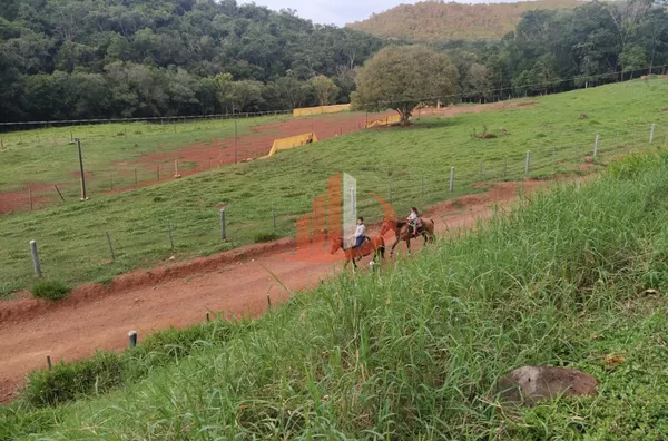 FAZENDA COM 136 ALQUEIRES EM GUARANIAÇU/PR - Foto 6