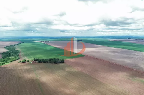 FAZENDA COM 860 HECTARES EM MATO GROSSO DO SUL - Foto 11