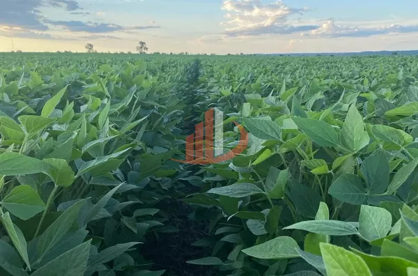 ARRENDAMENTO DE FAZENDA NO MATO GROSSO DO SUL - Foto 2