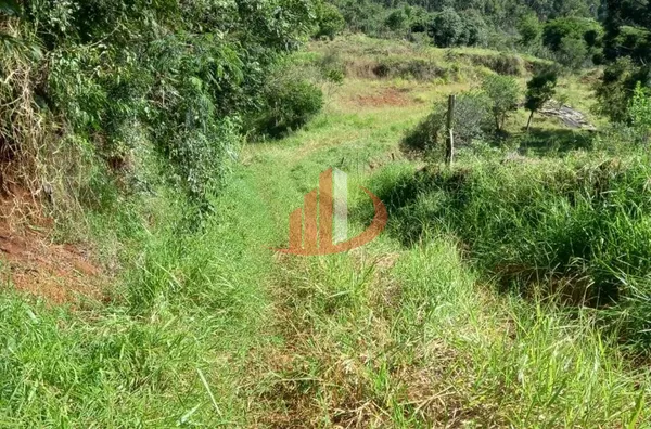 CHÁCARA COM 2,5 ALQUEIRES À VENDA EM VITORINO/PR - Foto 29