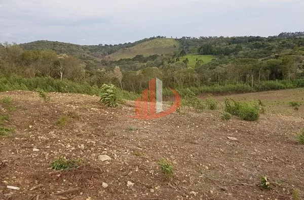 FAZENDA COM 203,5 ALQUEIRES À VENDA NO SUDOESTE DO PARANÁ. - Foto 6