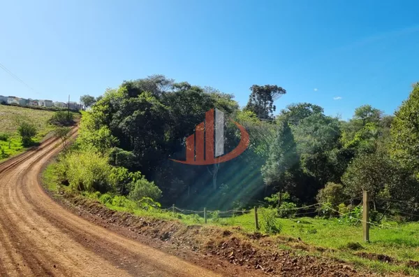 CHÁCARA COM 5 HECTARES PRÓXIMO A PATO BRANCO - Foto 11