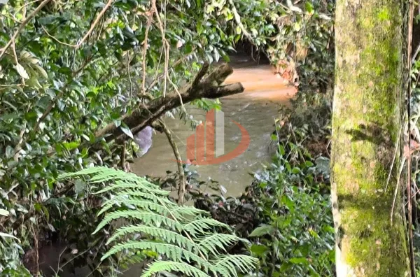 CHÁCARA COM 52.000m² À VENDA EM PATO BRANCO/PR - Foto 51