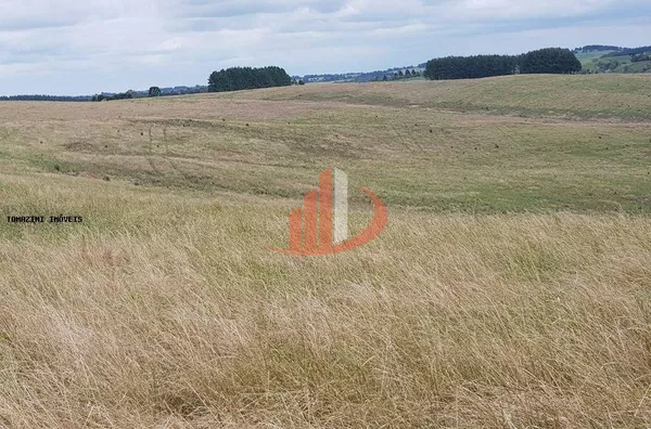 fazenda á venda no sudoeste do paraná - Foto 1