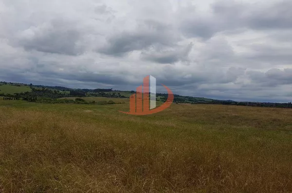 fazenda á venda no sudoeste do paraná - Foto 3