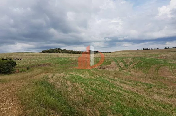 fazenda á venda no sudoeste do paraná - Foto 4