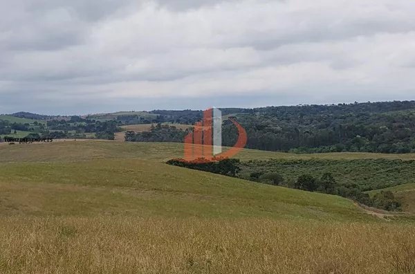 fazenda á venda no sudoeste do paraná - Foto 5