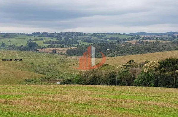fazenda á venda no sudoeste do paraná - Foto 7