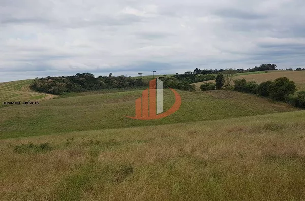 fazenda á venda no sudoeste do paraná - Foto 8