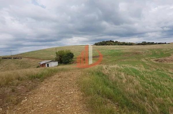 fazenda á venda no sudoeste do paraná - Foto 9