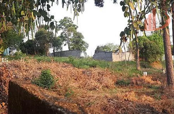 Terreno para Venda em Pato Branco / PR no bairro Aeroporto