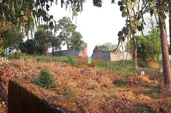 Terreno para Venda em Pato Branco / PR no bairro Aeroporto