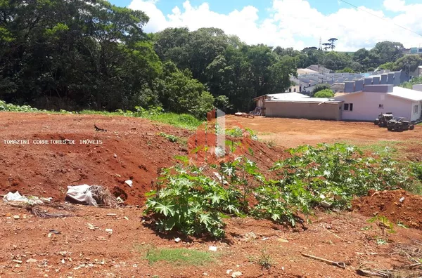 Terreno para Venda em Pato Branco / PR no bairro Cadorin