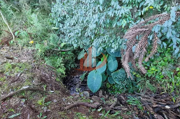 Chácara para Venda em Mariópolis / PR no bairro Aeroporto - Foto 8