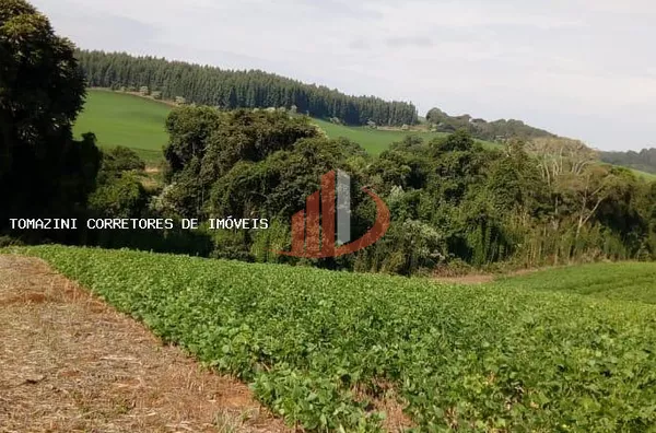 Chácara para Venda em Mariópolis / PR no bairro Zona Rural - Foto 3