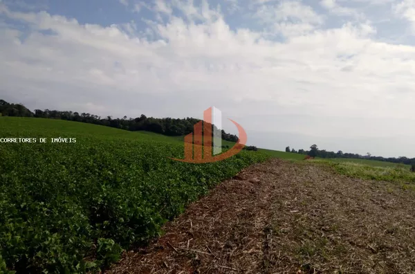 Chácara para Venda em Mariópolis / PR no bairro Zona Rural - Foto 4