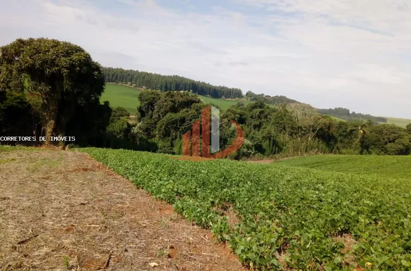 Chácara para Venda em Mariópolis / PR no bairro Zona Rural - Foto 6