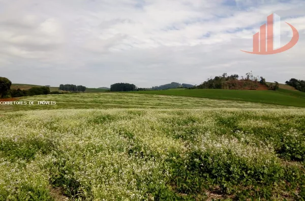 Chácara para Venda em Mariópolis / PR no bairro Zona Rural