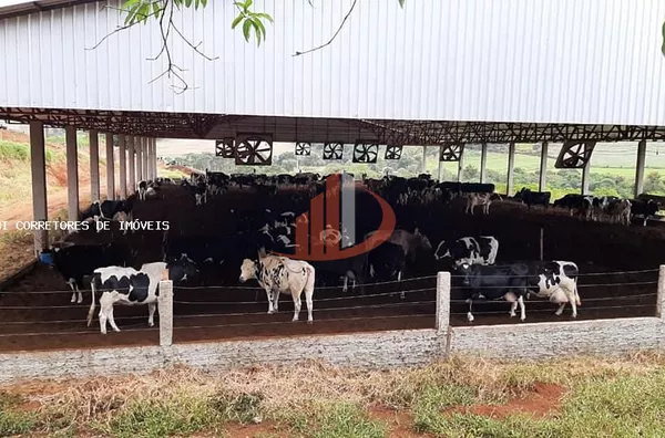 Área Rural para Venda em Honório Serpa / PR no bairro Outros - Foto 3