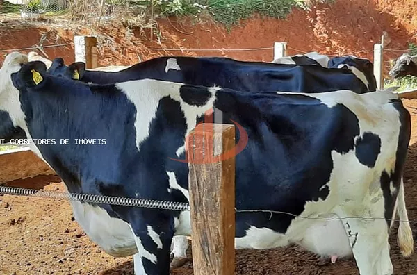 Área Rural para Venda em Honório Serpa / PR no bairro Outros - Foto 5