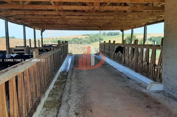 Área Rural para Venda em Honório Serpa / PR no bairro Outros - Foto 11