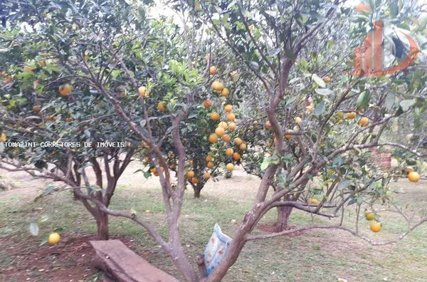 Chácara para Venda em Pato Branco / PR no bairro Zona Rural