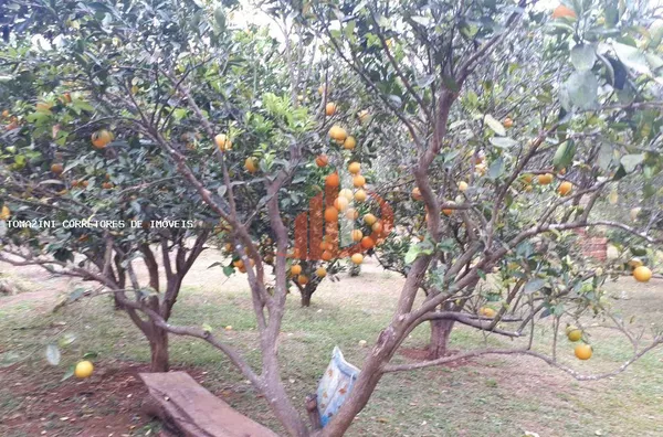 Chácara para Venda em Pato Branco / PR no bairro Zona Rural