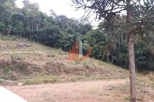 Chácara para Venda em Pato Branco / PR no bairro Zona Rural - Foto 7