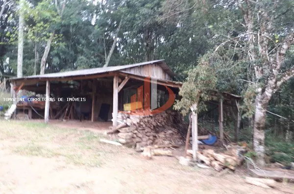 Chácara para Venda em Pato Branco / PR no bairro Zona Rural