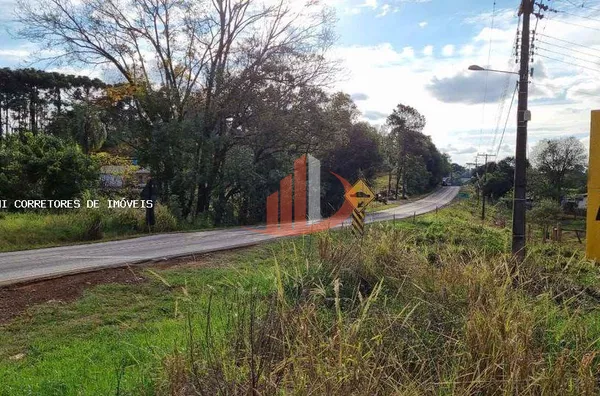 Área Rural para Venda em Pato Branco / PR no bairro Outros - Foto 2