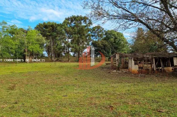 Área Rural para Venda em Pato Branco / PR no bairro Outros - Foto 3
