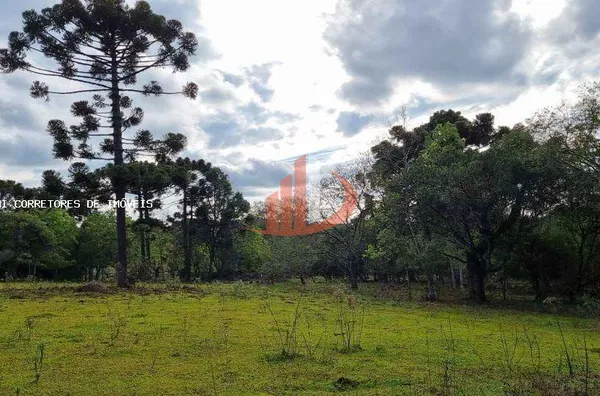 Área Rural para Venda em Pato Branco / PR no bairro Outros - Foto 6