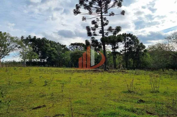 Área Rural para Venda em Pato Branco / PR no bairro Outros - Foto 4