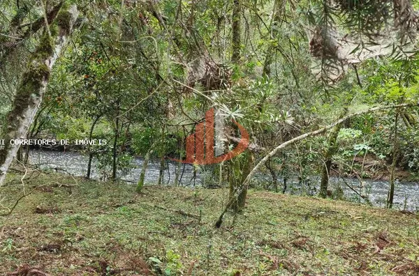 Área Rural para Venda em Pato Branco / PR no bairro Outros - Foto 7