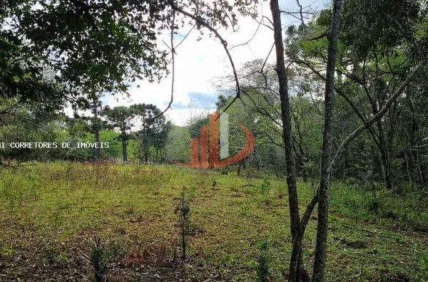 Área Rural para Venda em Pato Branco / PR no bairro Outros - Foto 9