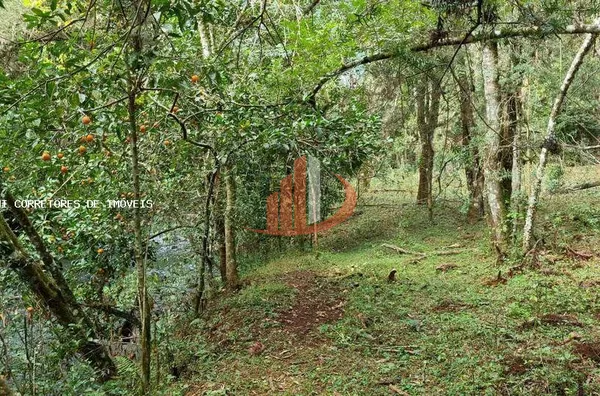 Área Rural para Venda em Pato Branco / PR no bairro Outros - Foto 11