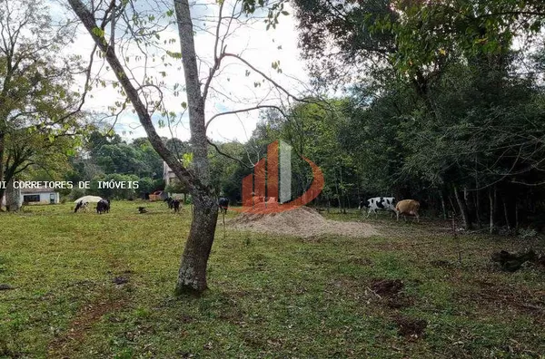 Área Rural para Venda em Pato Branco / PR no bairro Outros - Foto 12