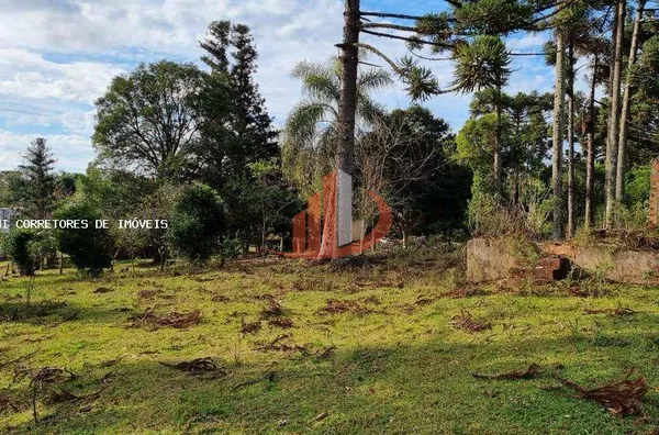 Área Rural para Venda em Pato Branco / PR no bairro Outros - Foto 16