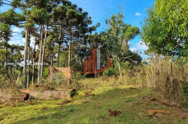 Área Rural para Venda em Pato Branco / PR no bairro Outros - Foto 17
