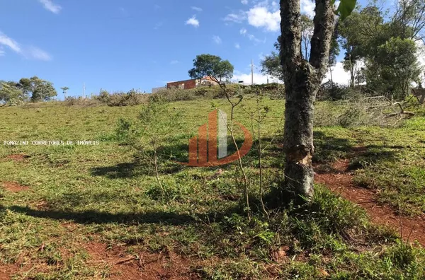 Chácara para Venda em Pato Branco / PR no bairro Gralha Azul - Foto 3