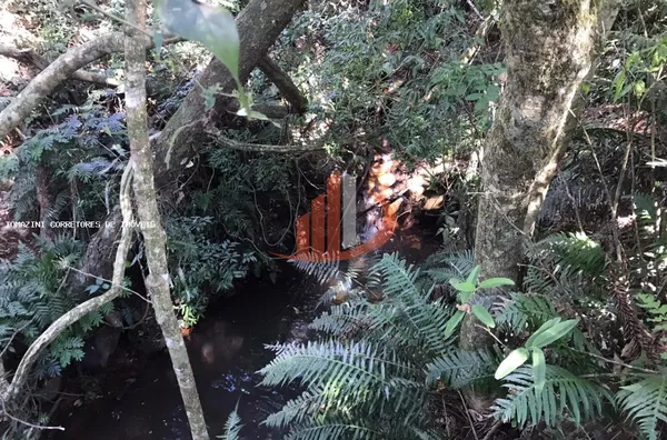 Chácara para Venda em Pato Branco / PR no bairro Gralha Azul - Foto 9